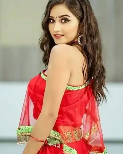 Escort In Nagar